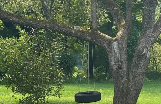 9988f2f852f8466998d672255f6629d7 LargeOriginal.jpg