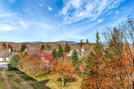 1d802e57bdbc438591298fa6972b1879 LargeOriginal.jpg