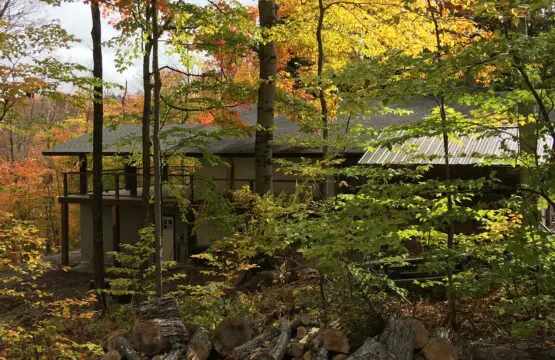 20882d3d500847dcb25f515c0c119910 LargeOriginal.jpg