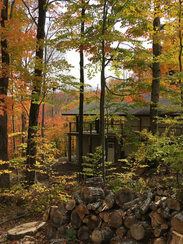 592cdabdda964abf938c8ae3b317ffd2 LargeOriginal.jpg