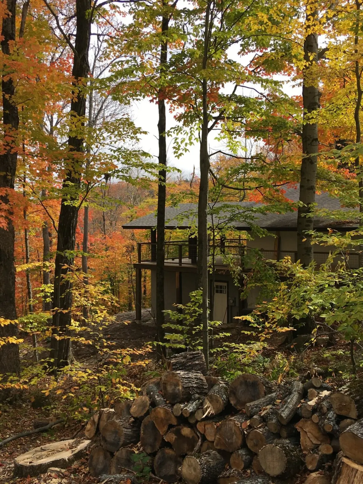 592cdabdda964abf938c8ae3b317ffd2 LargeOriginal.jpg