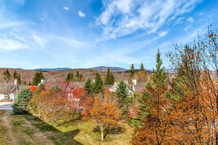 f10b91023644462094c9a6ceafc3dd21 LargeOriginal.jpg