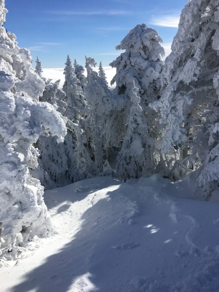 fa0b7b396f924bb2b47708bf0ce1bd54 LargeOriginal.jpg